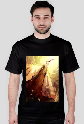 Ra