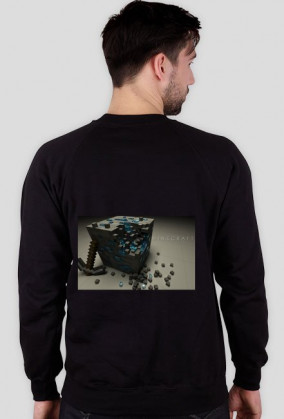 Bluza Minecraft
