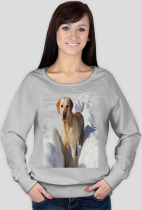 Bluza