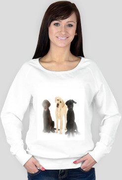 Bluza