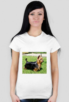 Australian sliky terrier