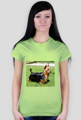 Australian sliky terrier