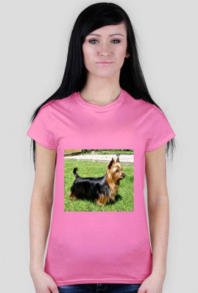 Australian sliky terrier