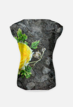 Yellow Rose
