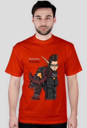 Blood Elf Protection Paladin