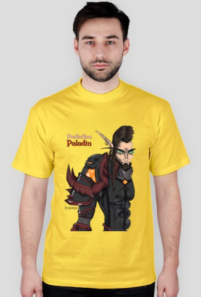 Blood Elf Protection Paladin