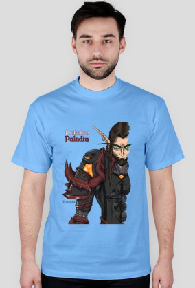 Blood Elf Protection Paladin