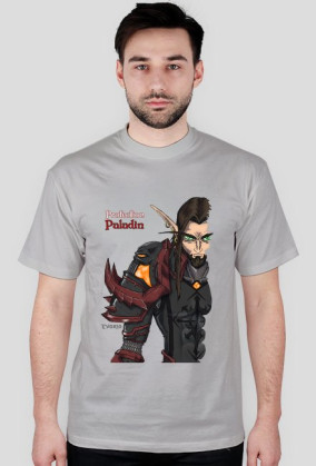 Blood Elf Protection Paladin