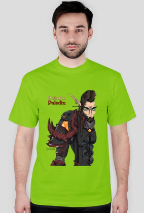Blood Elf Protection Paladin