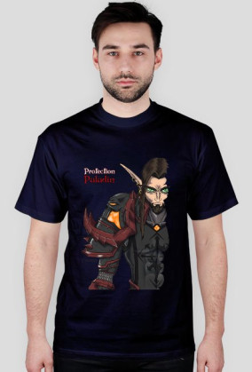 Blood Elf Protection Paladin