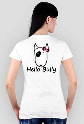 Hello Bully