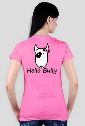 Hello Bully