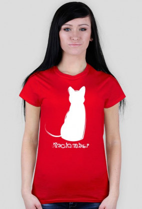 Kociamber - poznański kot