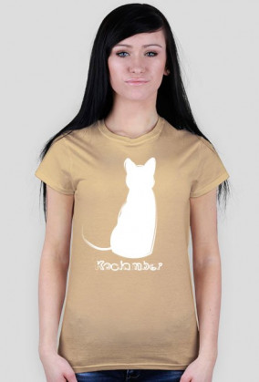 Kociamber - poznański kot