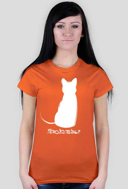 Kociamber - poznański kot