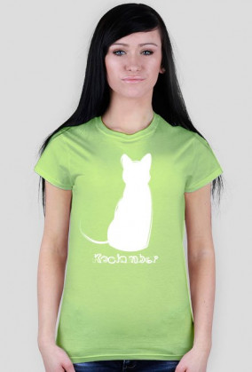 Kociamber - poznański kot