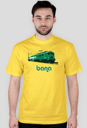 Bana - poznański pociąg