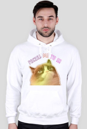 Grumpy Cat