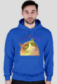 Grumpy Cat