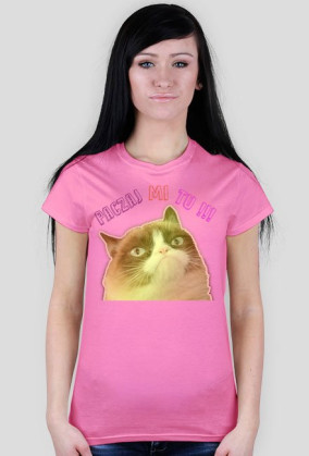 Grumpy Cat