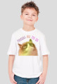Grumpy Cat