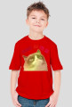 Grumpy Cat