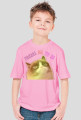 Grumpy Cat