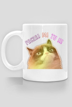 Grumpy Cat