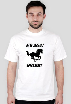 Ogier