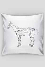 Poduszka anatomiczna