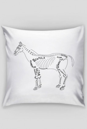 Poduszka anatomiczna