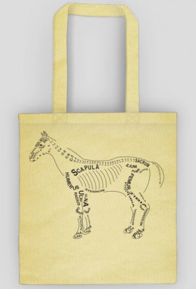 Torba anatomiczna weterynaria koń