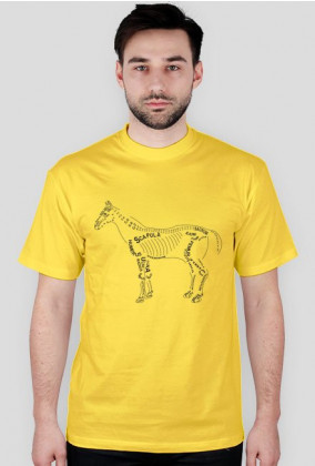 Koszulka anatomiczna weterynaria koń
