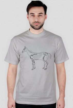 Koszulka anatomiczna weterynaria koń