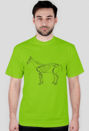 Koszulka anatomiczna weterynaria koń