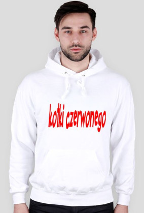 bluza