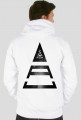 TriangleCOSMO