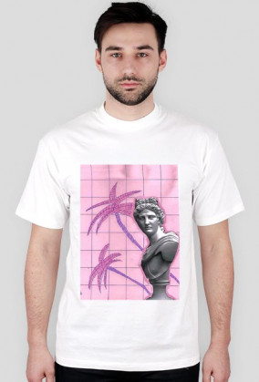 a e s t h e t i c