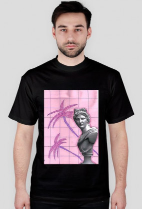 a e s t h e t i c