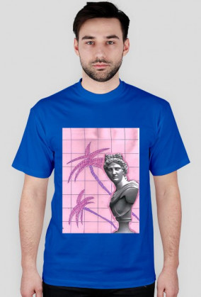 a e s t h e t i c