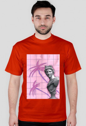 a e s t h e t i c