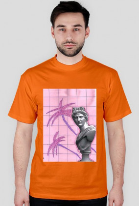 a e s t h e t i c