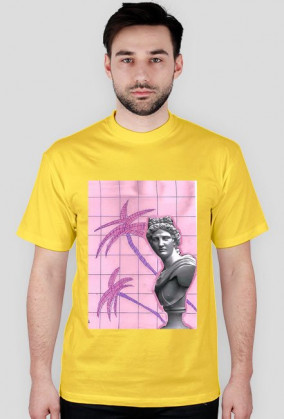 a e s t h e t i c