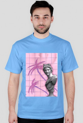 a e s t h e t i c