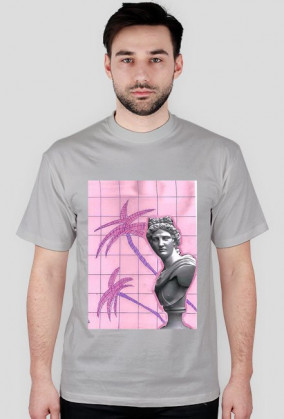 a e s t h e t i c