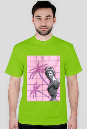 a e s t h e t i c