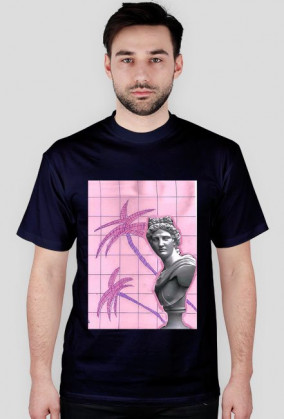 a e s t h e t i c