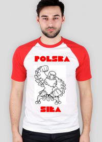 Polska Siła