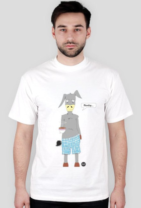 Monday donkey