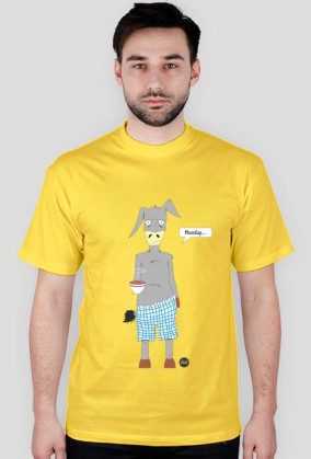 Monday donkey